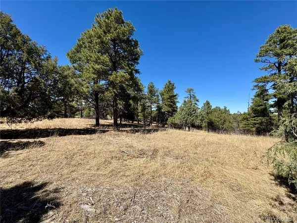 $195,000 | 34999 Timber Park Drive, Trinidad, CO 81082
