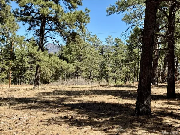 $195,000 | 34999 Timber Park Drive, Trinidad, CO 81082