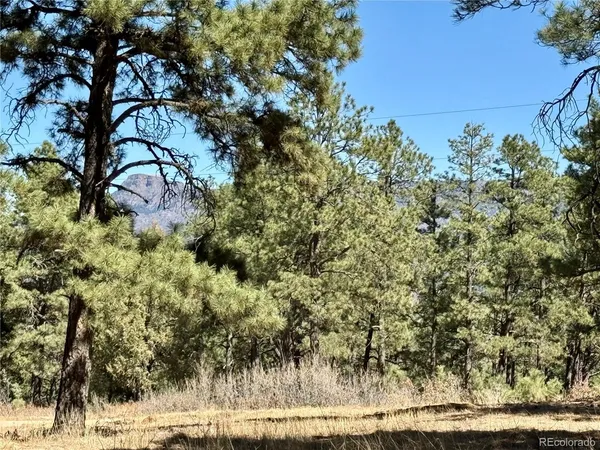$195,000 | 34999 Timber Park Drive, Trinidad, CO 81082