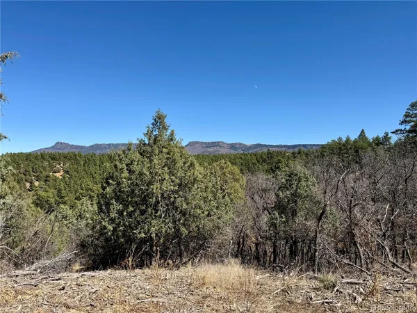 $195,000 | 34999 Timber Park Drive, Trinidad, CO 81082
