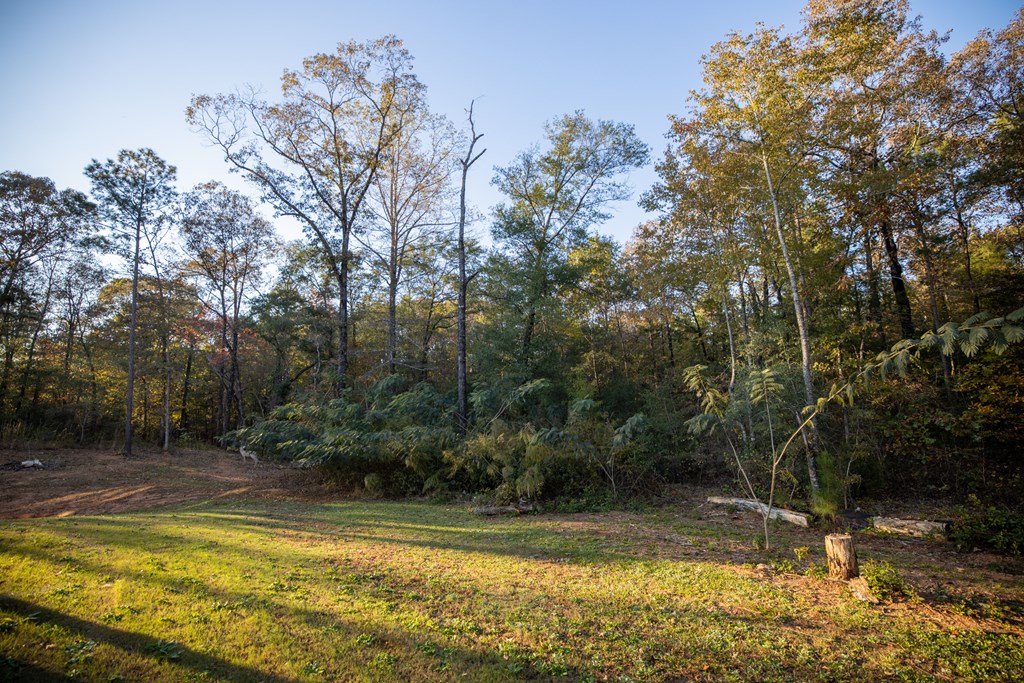 381 Marsh Road West Point, GA 31833 - Photo 68 of 71 Gallery Image 68