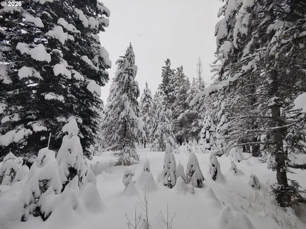 a view of a covered with snow in back