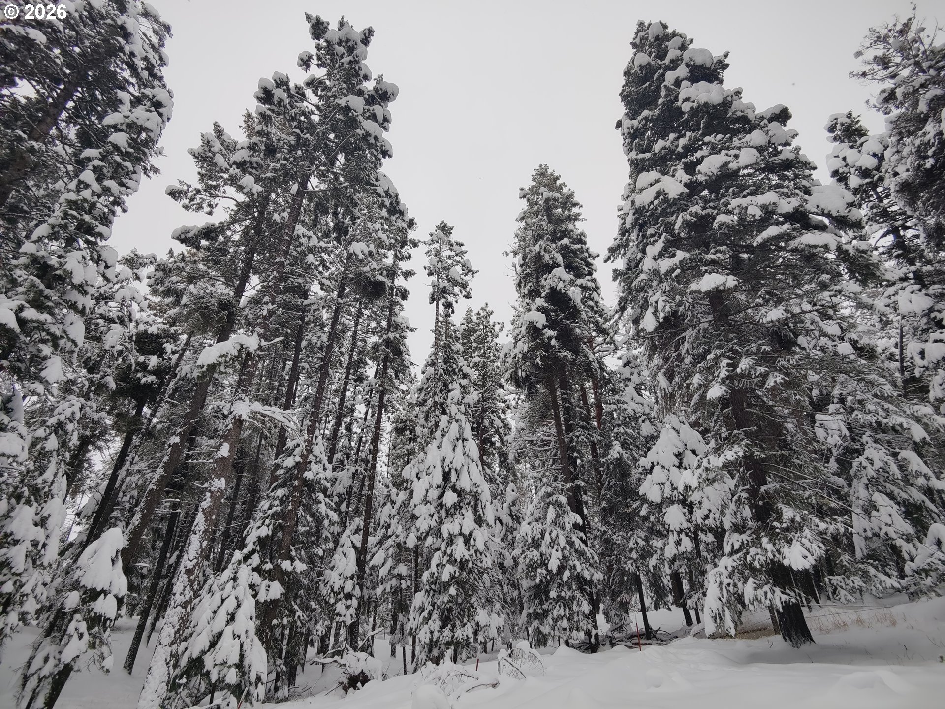 61005 Lime Quarry Road Enterprise, OR 97828 - Photo 12 of 17