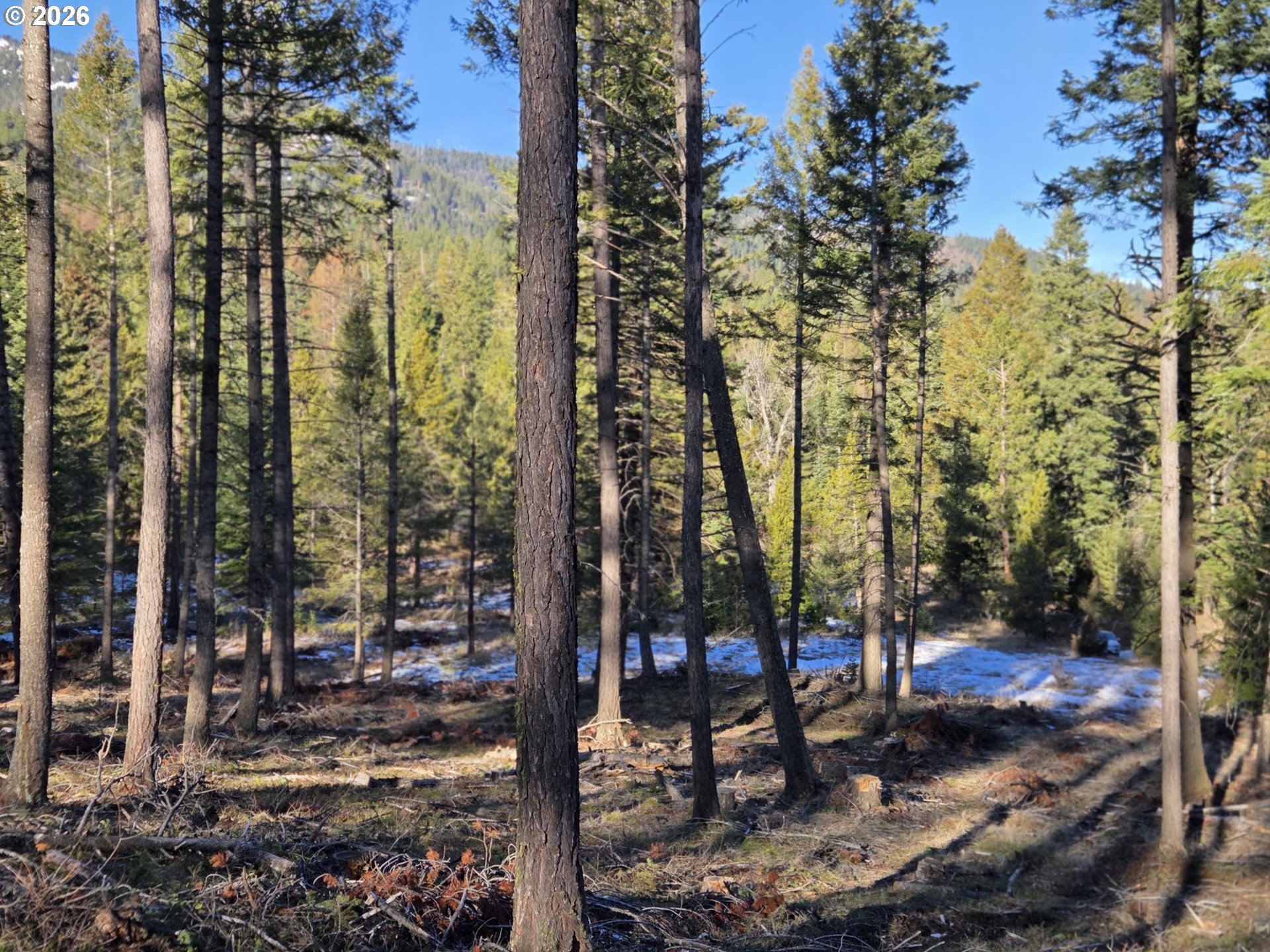 61005 Lime Quarry Road Enterprise, OR 97828 - Photo 13 of 17