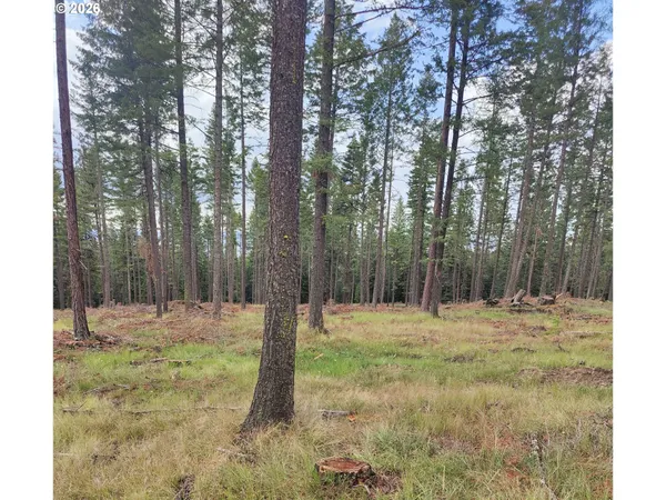 a fire hydrant in the middle of a forest