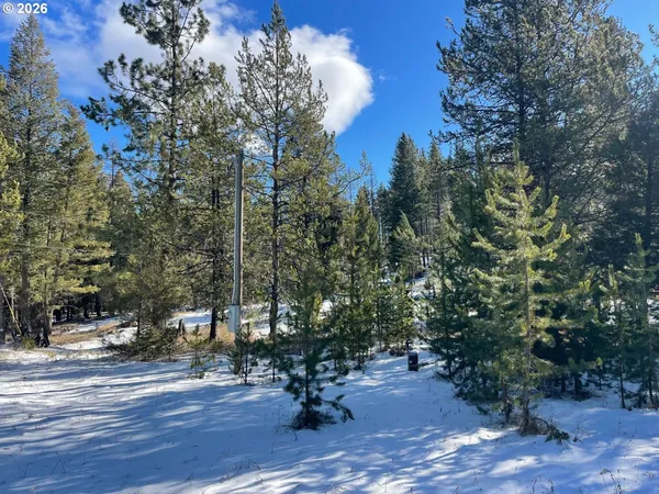a view of a bench in a yard
