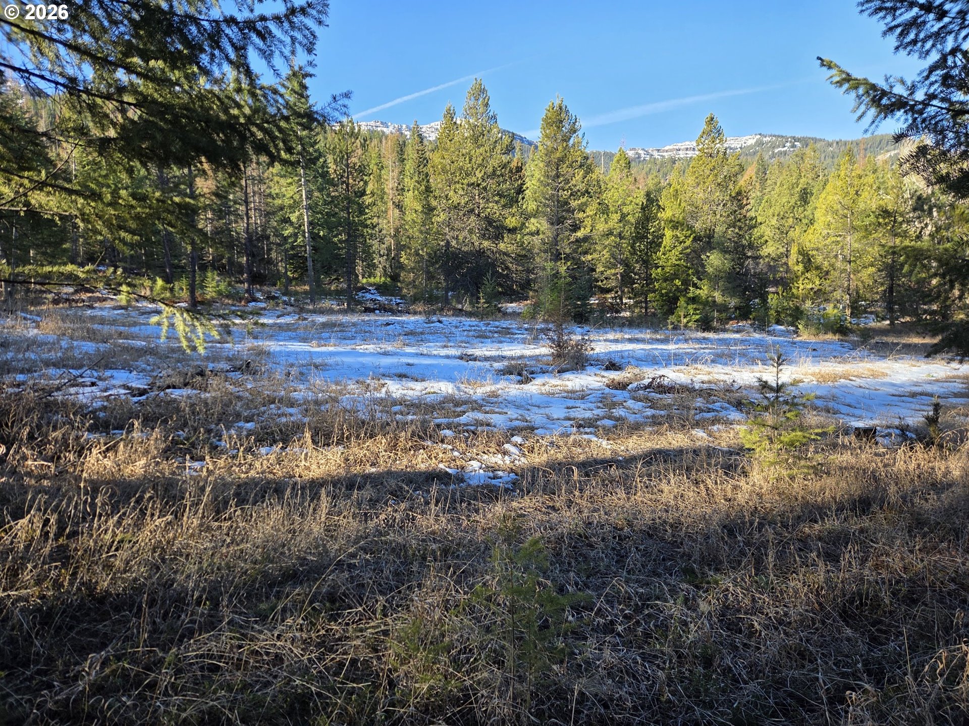 61005 Lime Quarry Road Enterprise, OR 97828 - Photo 3 of 17