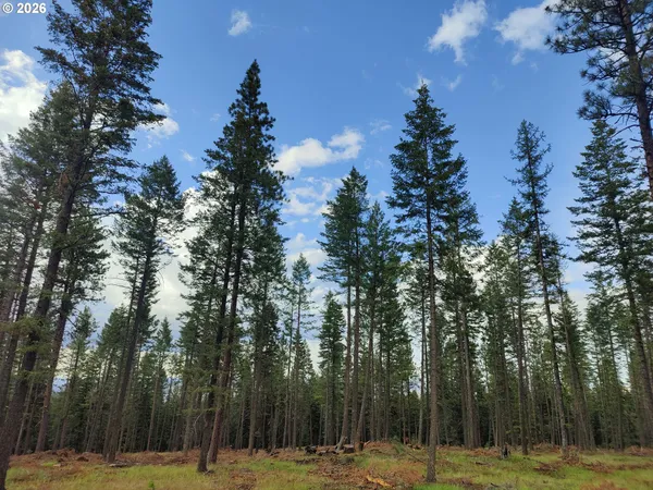 a view of outdoor space with trees