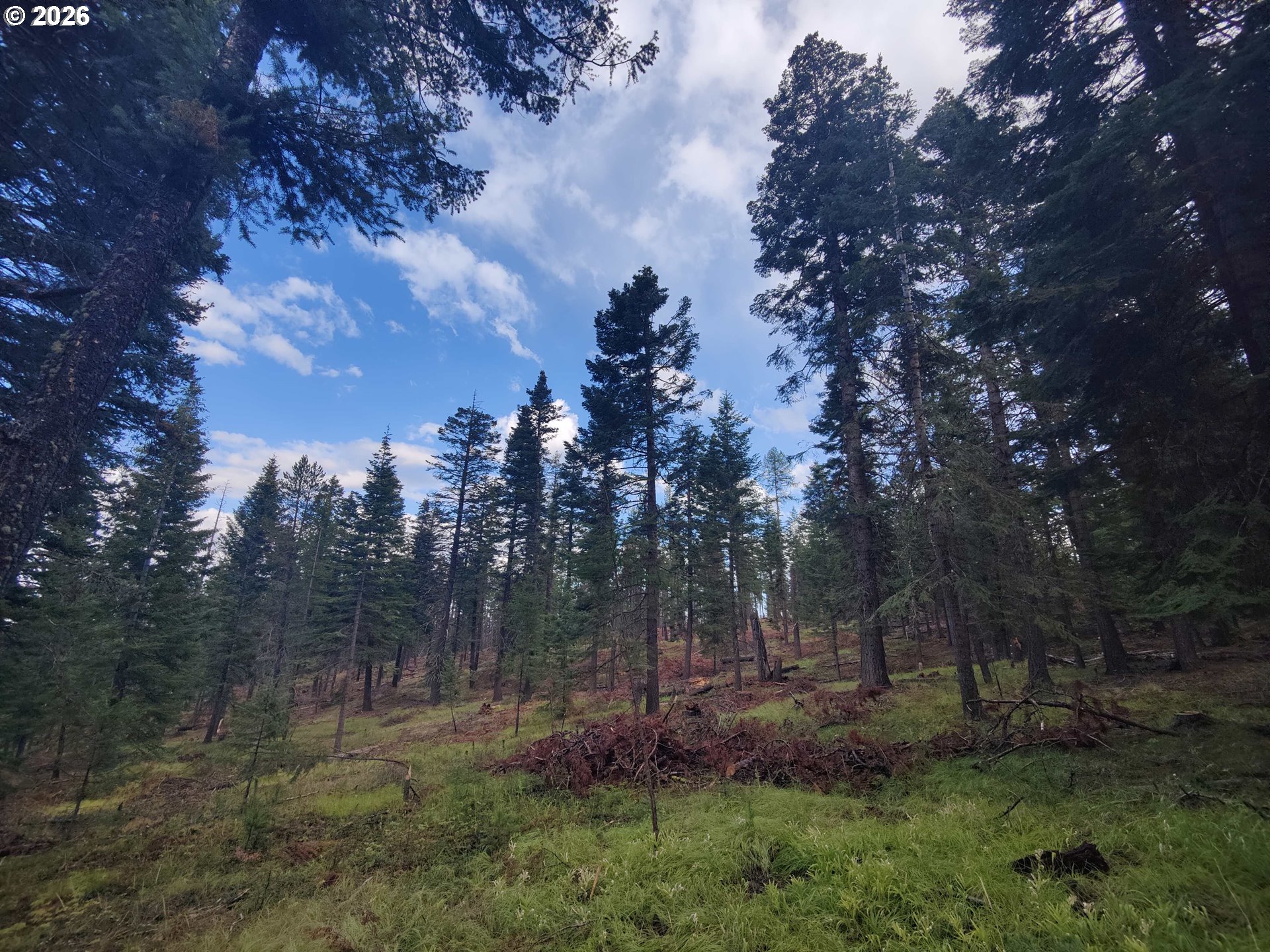 61005 Lime Quarry Road Enterprise, OR 97828 - Photo 9 of 17