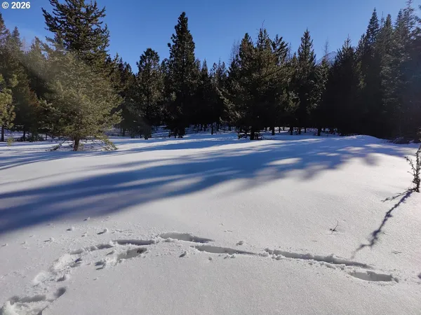 a view of a snow on the side of the road