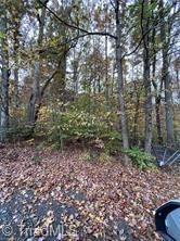 0 Aladdin Road Pfafftown, NC 27040 - Photo 12 of 17