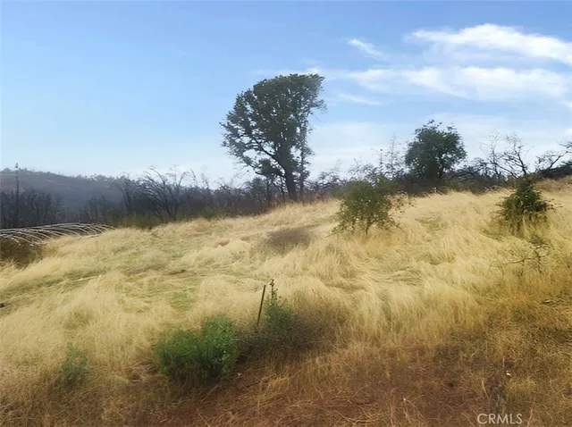 $50,000 | 0 Pritchett, Berry Creek, CA 95916