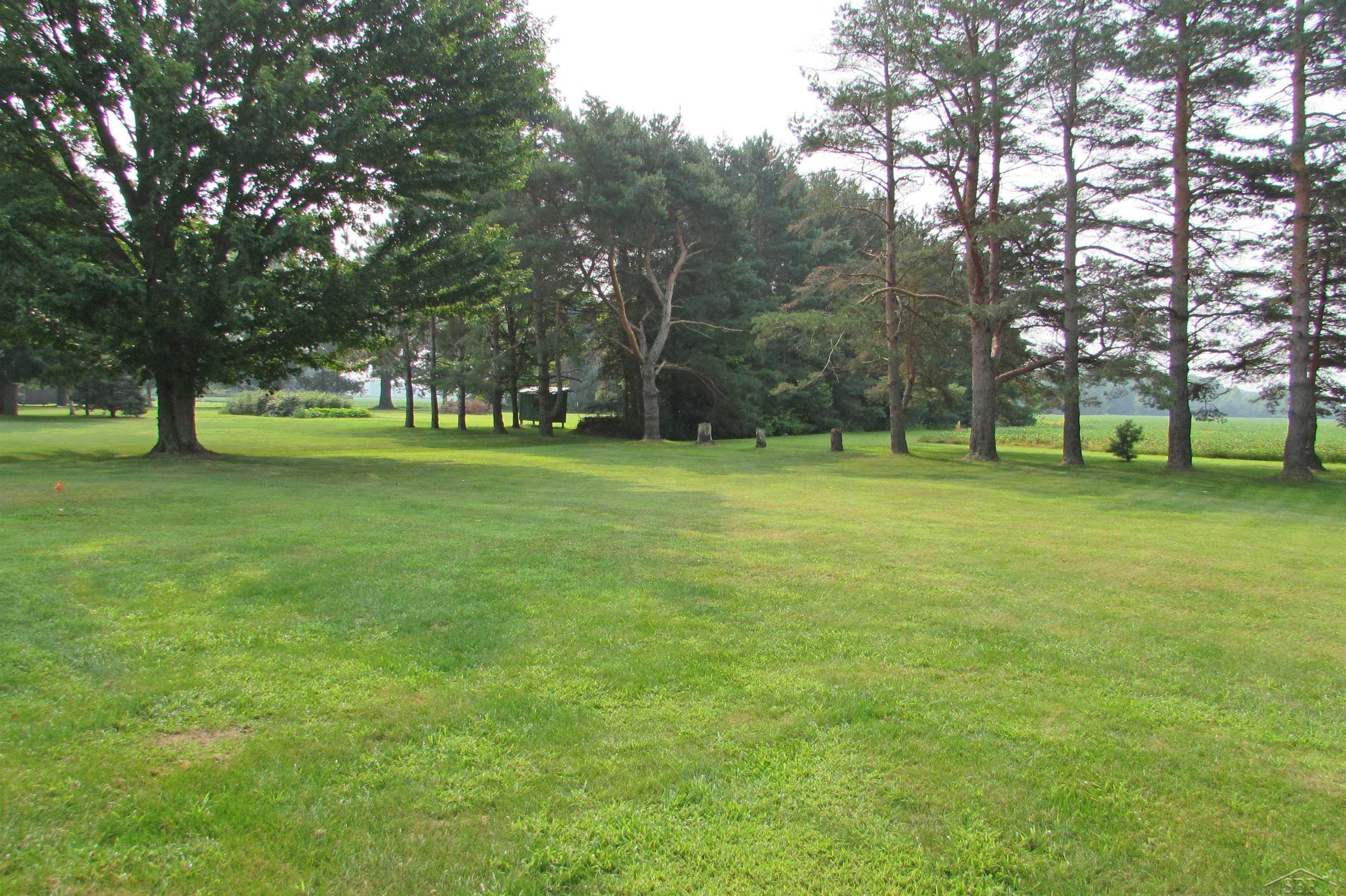 3561 Chesaning Road Chesaning, MI 48616 - Photo 10 of 37 50184040-088d340e-986f-4ee3-9316-e068672b40cf.JPG