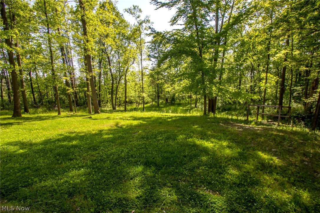 9260 Jamison Road Lodi, OH 44254 - Photo 33 of 34 Scenic wooded views