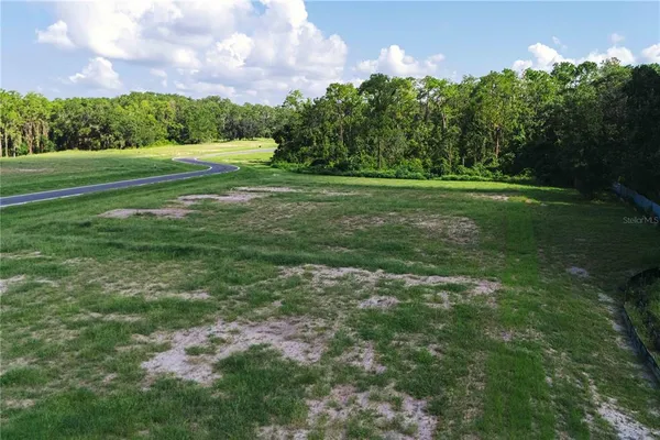 $759,000 | 19319 Dimple Drive, Odessa, FL 33556