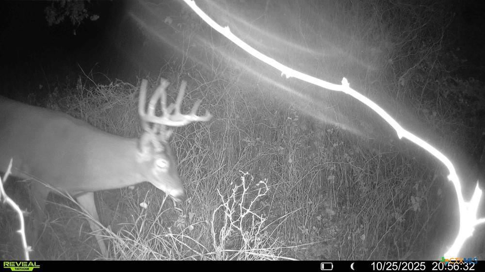 0 McLennan Road Troy, TX 76579 - Photo 30 of 35 Gallery Image 30