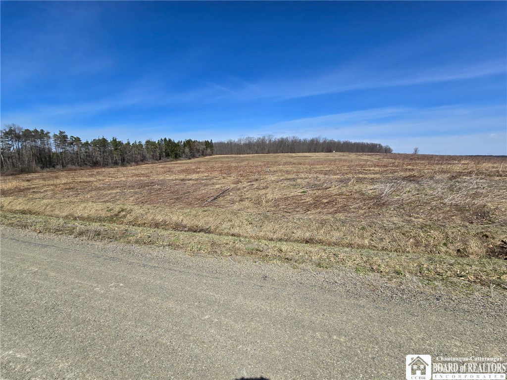 0 West Cobb Road Falconer, NY 14733 - Photo 49 of 49