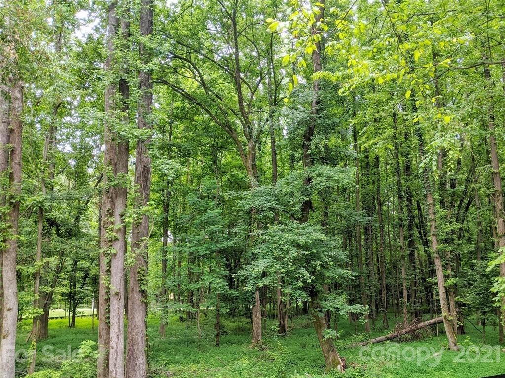 2902 Holbrook Road Fort Mill, SC 29715 - Photo 5 of 9 a view of a yard with plants and large trees
