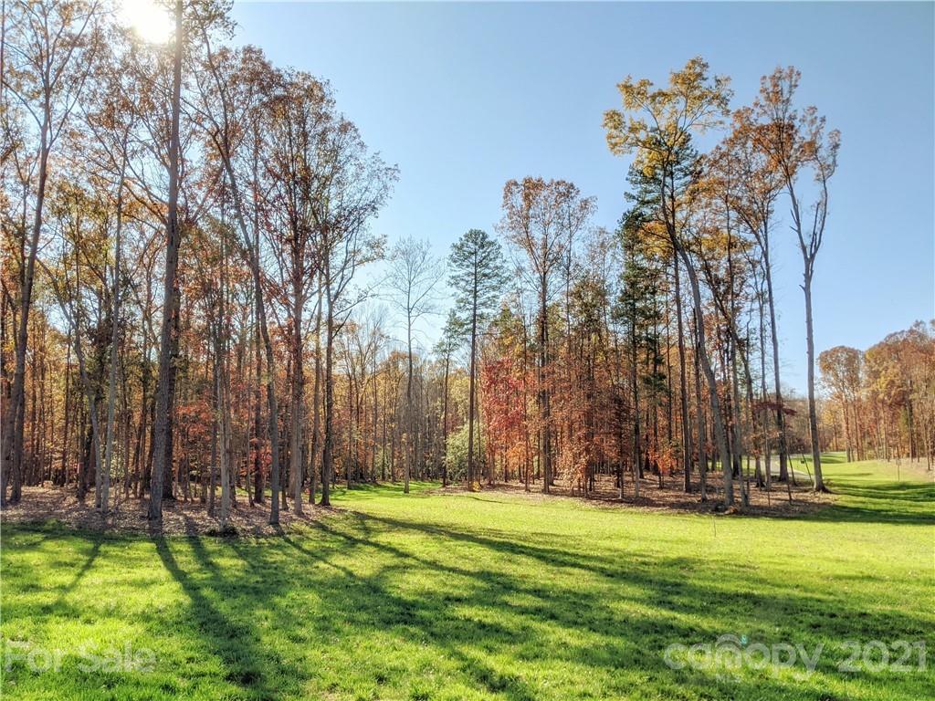 2902 Holbrook Road Fort Mill, SC 29715 - Photo 7 of 9 a backyard of a house with lots of green space and fountain