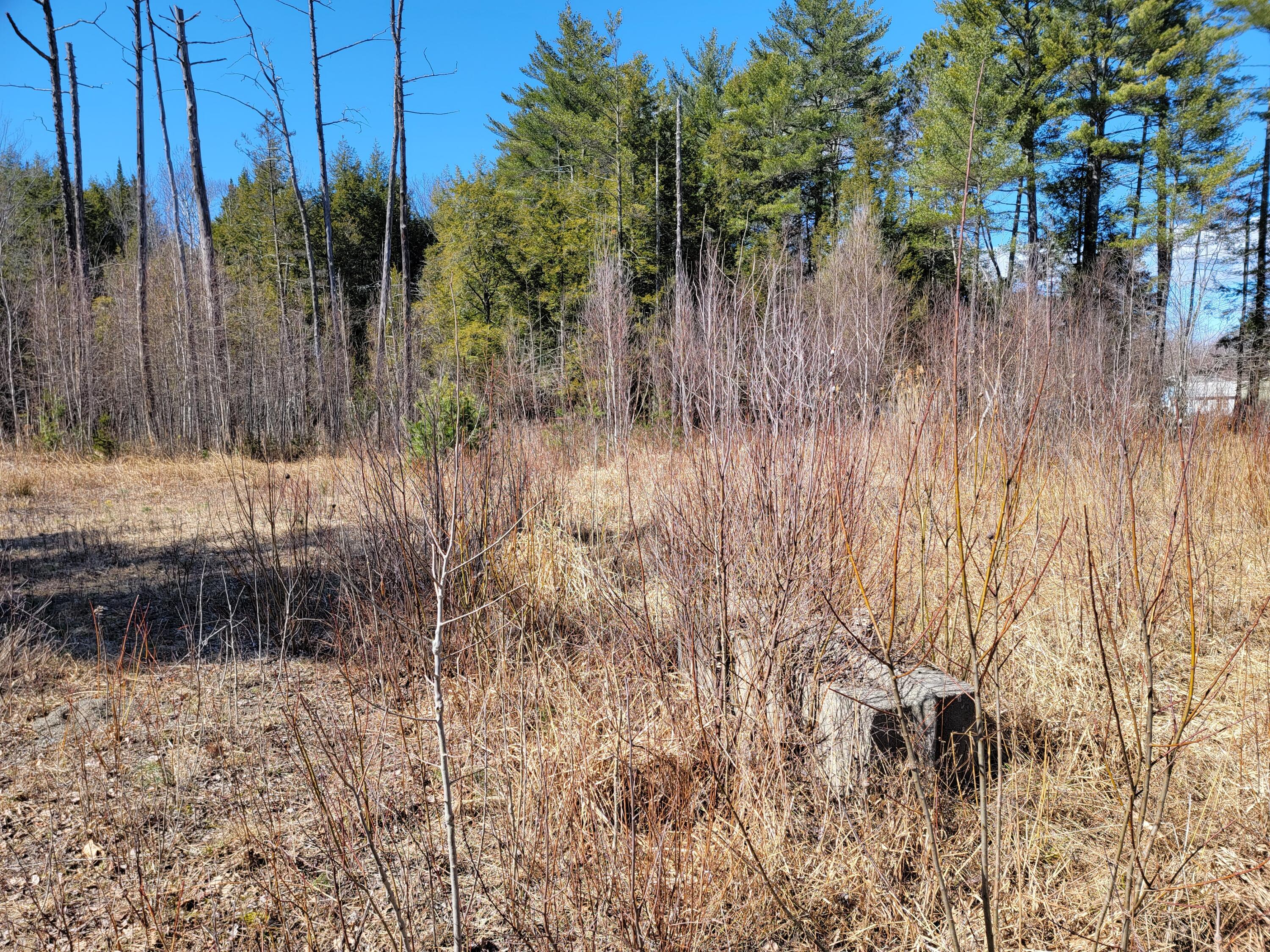 0 Pleasant Street Milo, ME 04463 - Photo 1 of 17 20220411_143210
