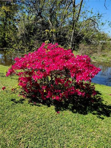10549 Dolphy Road St. Amant, LA 70774 - Photo 20 of 22