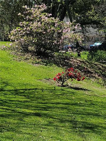 10549 Dolphy Road St. Amant, LA 70774 - Photo 21 of 22