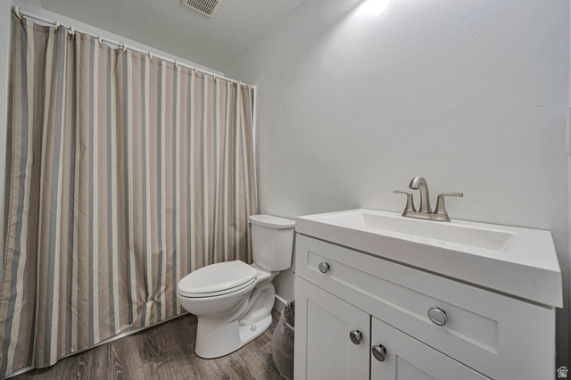 11730 South Shadow Lane Draper, UT 84020 - Photo 22 of 24 Bathroom featuring vanity, dark wood finished floors, and a textured ceiling