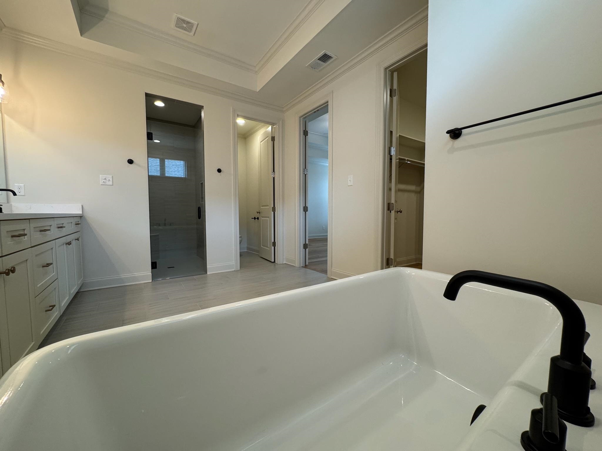11512 Sunsparkler Way Collierville, TN 38017 - Photo 24 of 40 Bathroom with a shower stall, vanity, a raised ceiling, a freestanding bath, and ornamental molding