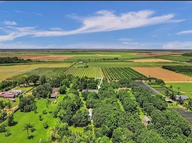 a backyard of a house with plants and large trees