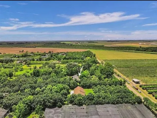 a view of a park with large trees