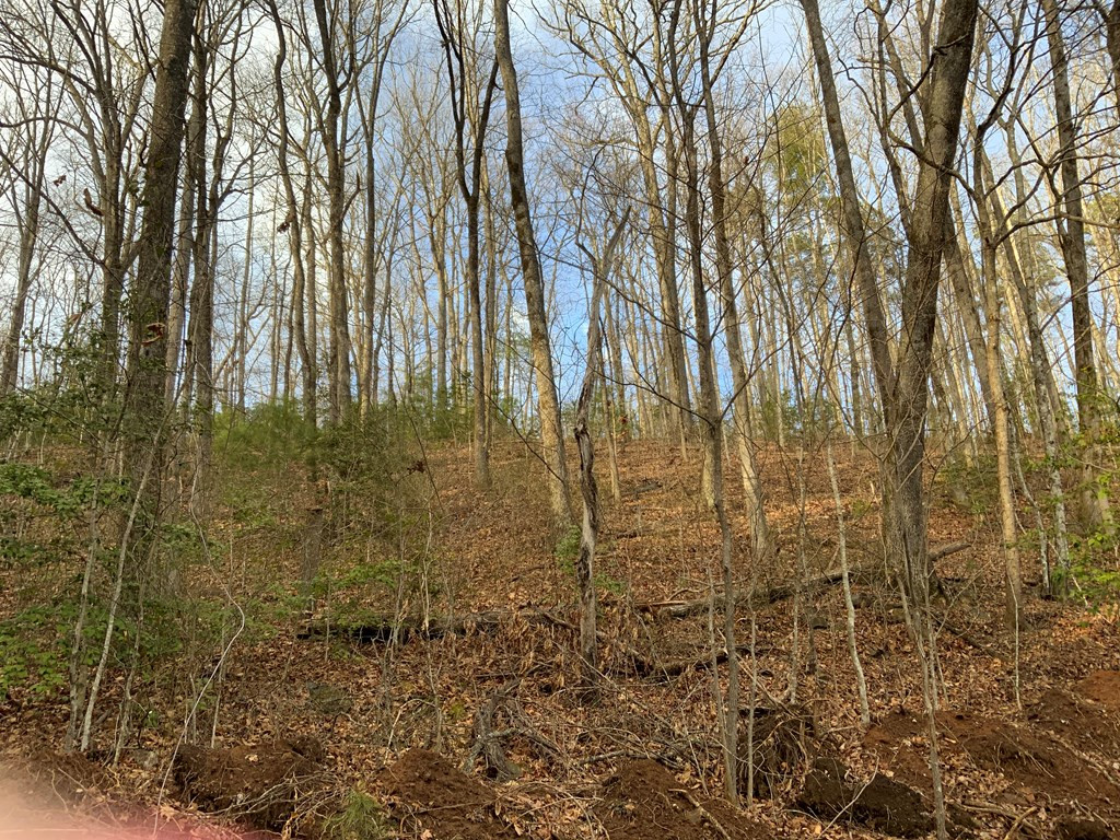 Lot 16 Ivy Log Road Warne, NC 28909 - Photo 2 of 16