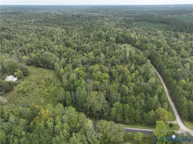 a view of a forest with a street