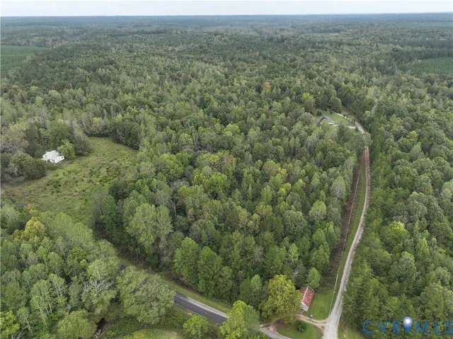 a view of a forest with a street