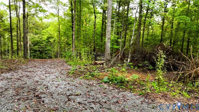 a view of a garden with large trees