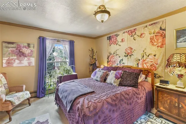 a bedroom with a bed and furniture