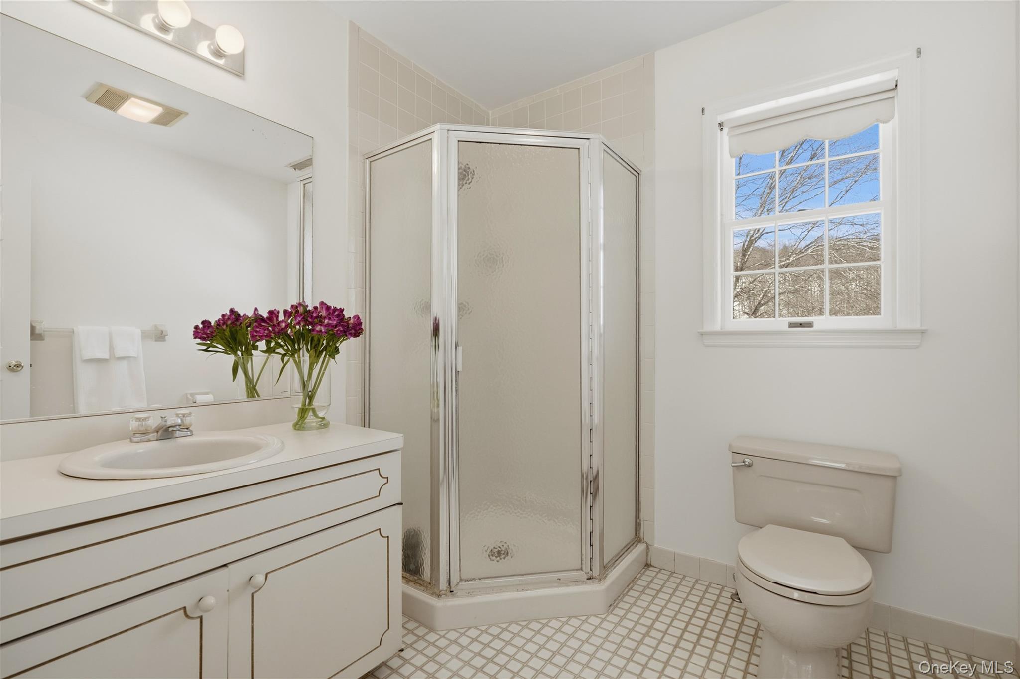 2 Cheyenne Court Katonah, NY 10536 - Photo 11 of 21 Ensuite bath in primary.