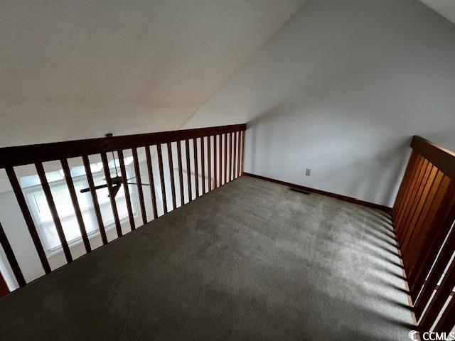 310 Lakeside Drive, Unit A Surfside Beach, SC 29575 - Photo 12 of 13 Additional living space with carpet floors and lof