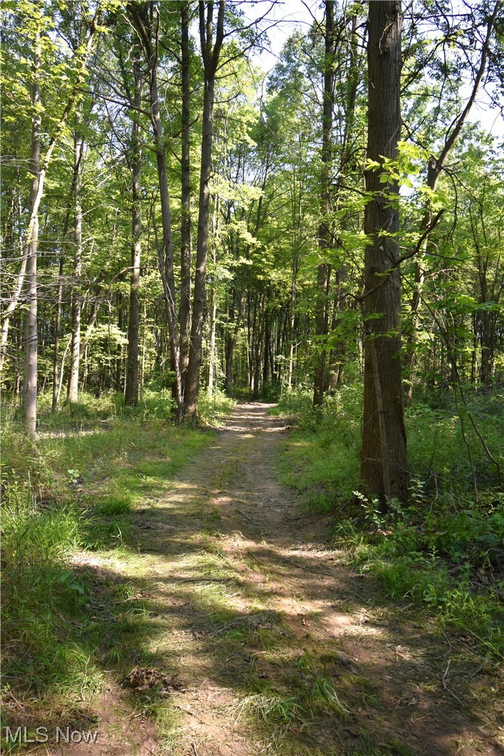 0 Warren - Sharon Road Masury, OH 44438 - Photo 9 of 10