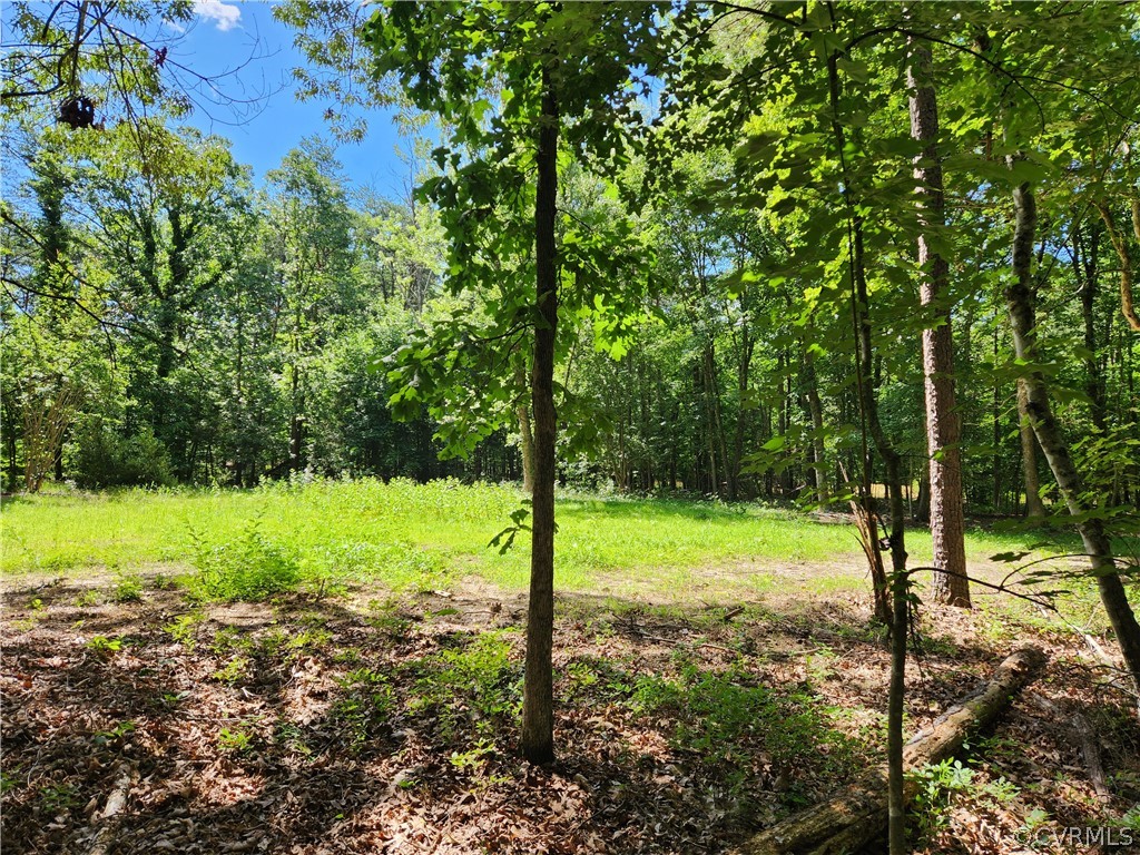 Lot 1 Walnut Shade Road Louisa, VA 23093 - Photo 1 of 45 Gallery Image 1