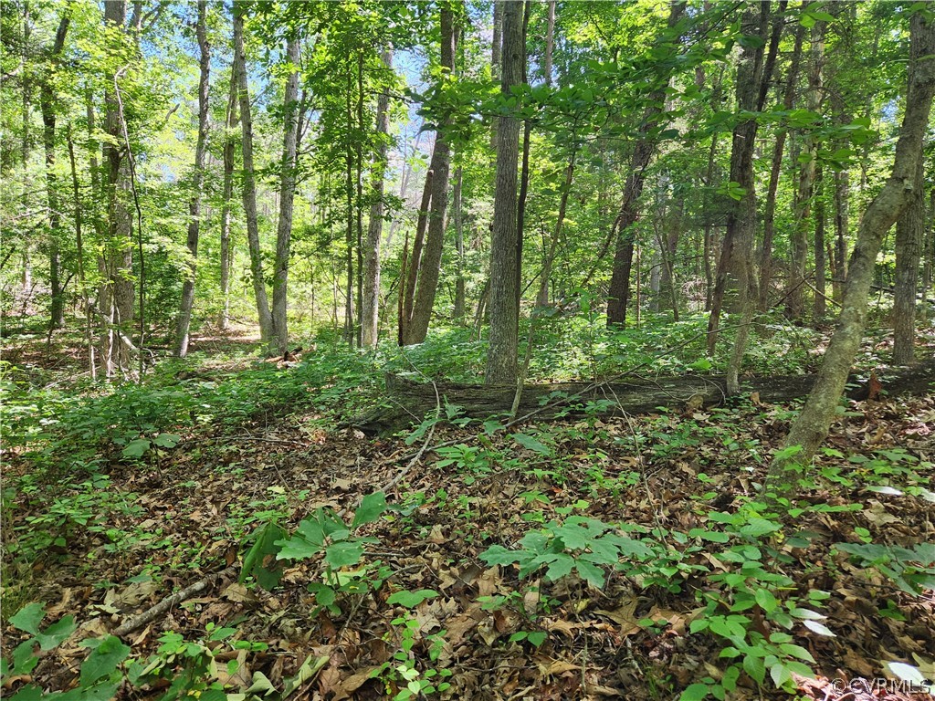 Lot 1 Walnut Shade Road Louisa, VA 23093 - Photo 15 of 45 Gallery Image 15