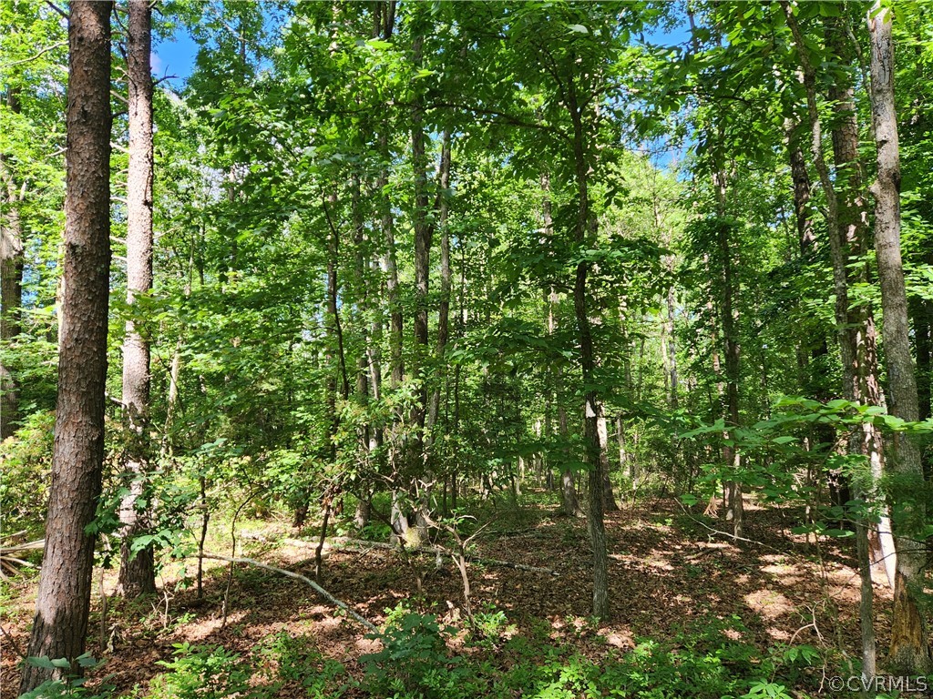 Lot 1 Walnut Shade Road Louisa, VA 23093 - Photo 2 of 45 Gallery Image 2