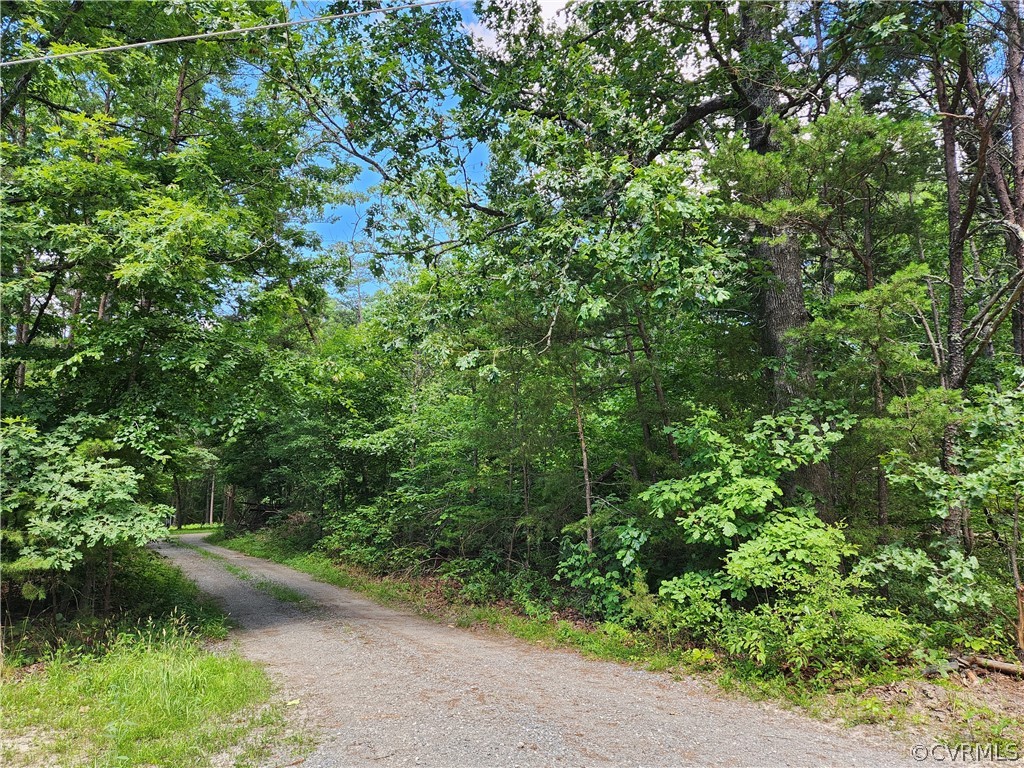 Lot 1 Walnut Shade Road Louisa, VA 23093 - Photo 21 of 45 Gallery Image 21