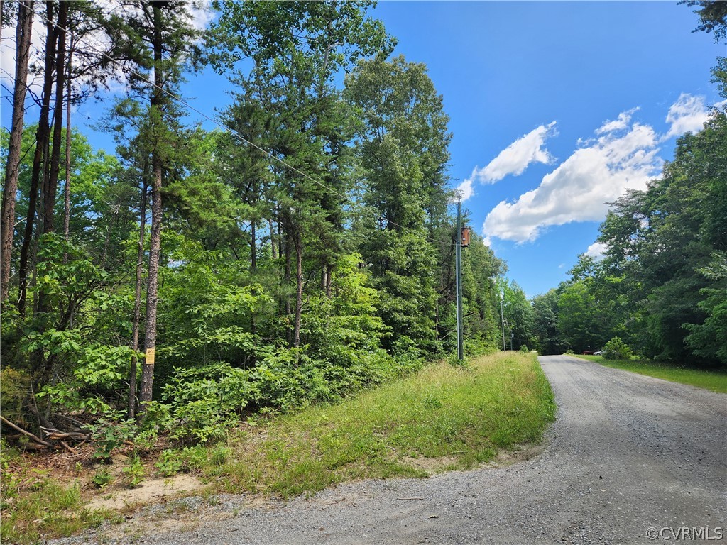Lot 1 Walnut Shade Road Louisa, VA 23093 - Photo 25 of 45 Gallery Image 25
