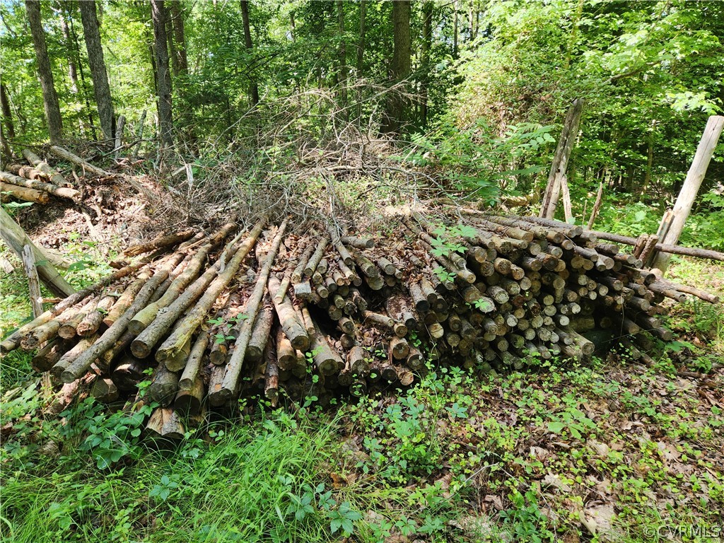 Lot 1 Walnut Shade Road Louisa, VA 23093 - Photo 27 of 45 Gallery Image 27