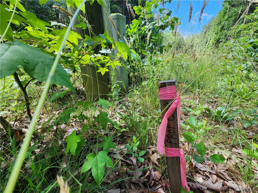 Lot 1 Walnut Shade Road Louisa, VA 23093 - Photo 28 of 45 Gallery Image 28