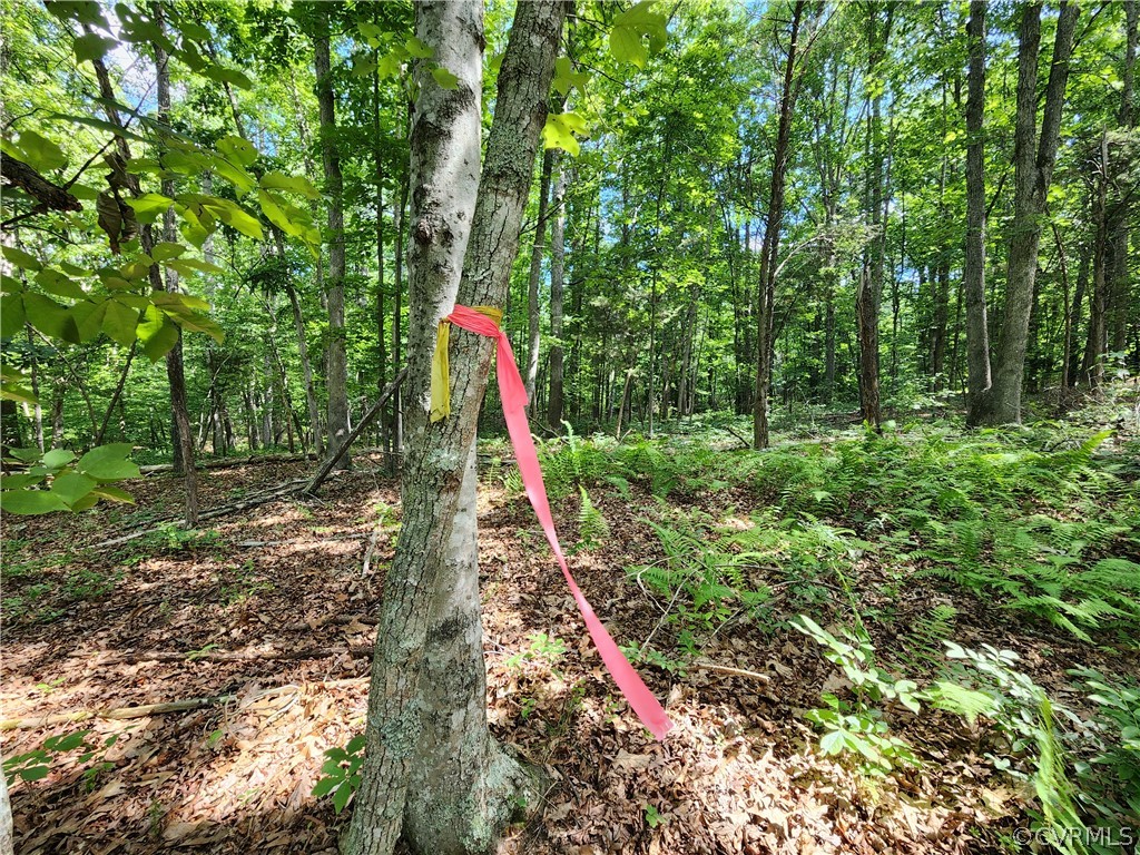 Lot 1 Walnut Shade Road Louisa, VA 23093 - Photo 29 of 45 Gallery Image 29