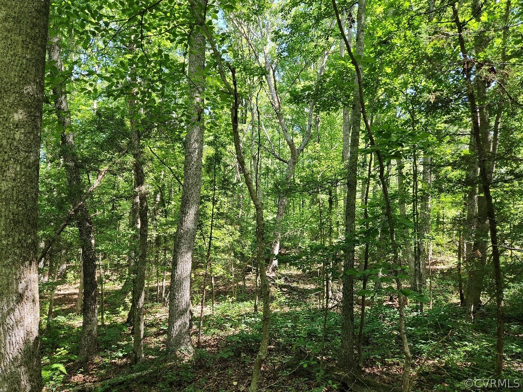 Lot 1 Walnut Shade Road Louisa, VA 23093 - Photo 36 of 45 Gallery Image 36