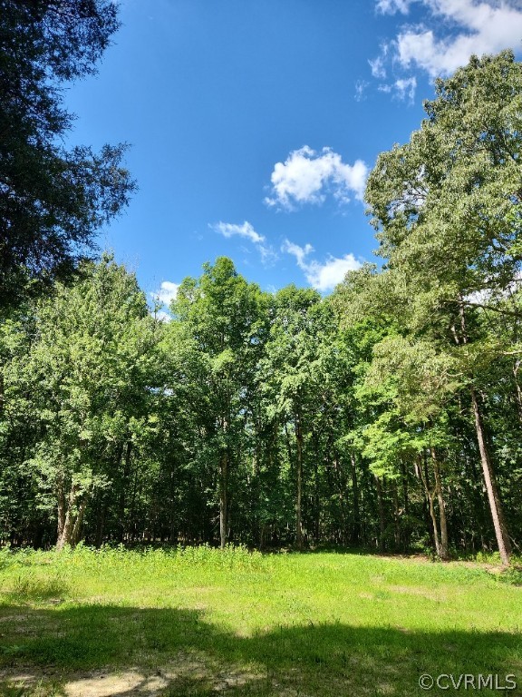 Lot 1 Walnut Shade Road Louisa, VA 23093 - Photo 38 of 45 Gallery Image 38