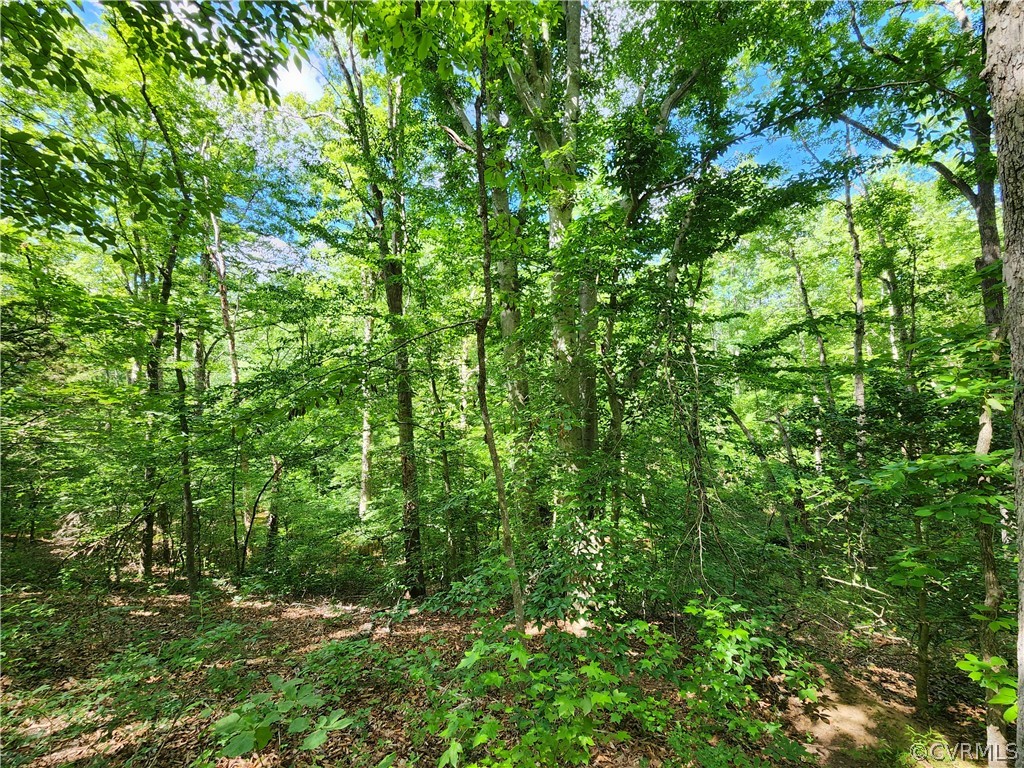 Lot 1 Walnut Shade Road Louisa, VA 23093 - Photo 5 of 45 Gallery Image 5