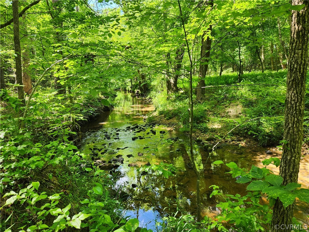 Lot 1 Walnut Shade Road Louisa, VA 23093 - Photo 7 of 45 Gallery Image 7